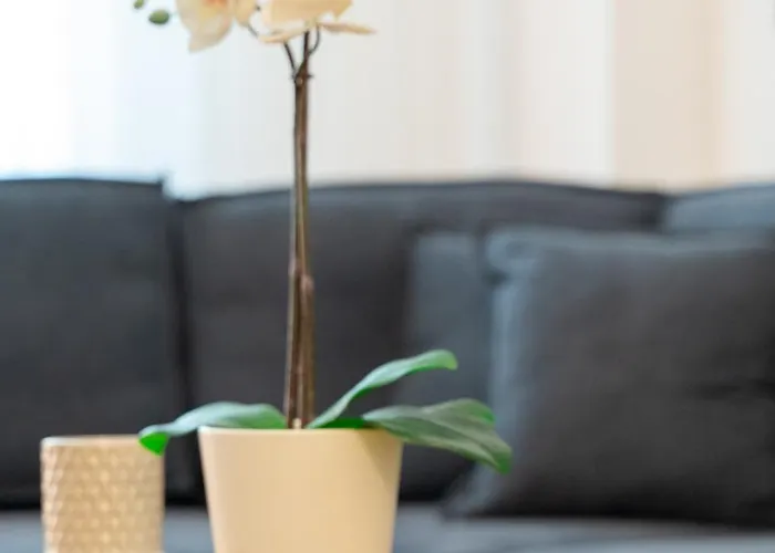 Apartamento Versusartsuites *